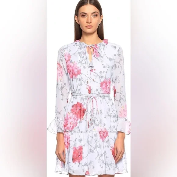 🎉Host Pick🎉 Ted Baker Babylon Ruffle Floral Dress – Size 4, Excellent Condition - Picture 4 of 7